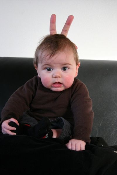 This is picture 1