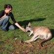 Kangerootje voeren!! (was in 'n National Park)